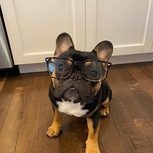 Cheeto Ahuja Office Security